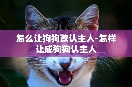 怎么讓狗狗改認主人-怎樣讓成狗狗認主人