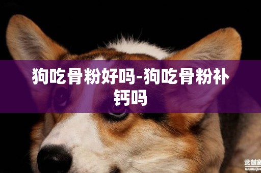 狗吃骨粉好嗎-狗吃骨粉補鈣嗎
