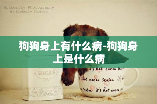 狗狗身上有什么病-狗狗身上是什么病