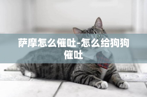 薩摩怎么催吐-怎么給狗狗催吐