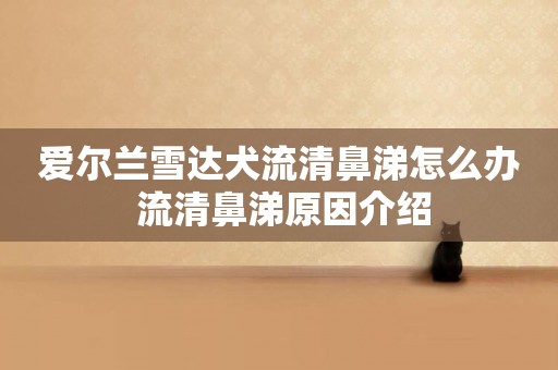 愛爾蘭雪達犬流清鼻涕怎么辦 流清鼻涕原因介紹
