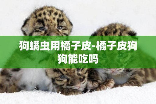 狗螨蟲用橘子皮-橘子皮狗狗能吃嗎