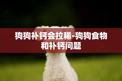 狗狗補鈣會拉稀-狗狗食物和補鈣問題