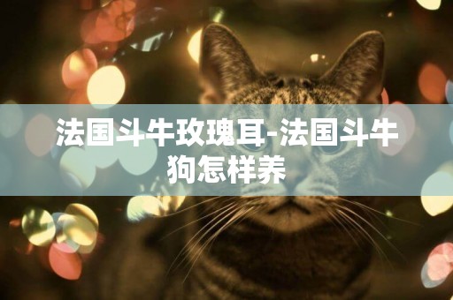 法國斗牛玫瑰耳-法國斗牛狗怎樣養