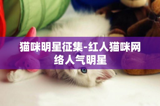 貓咪明星征集-紅人貓咪網絡人氣明星