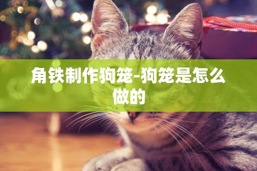 角鐵制作狗籠-狗籠是怎么做的