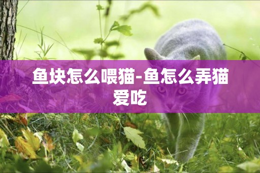 魚塊怎么喂貓-魚怎么弄貓愛吃