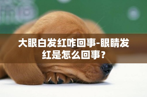大眼白發紅咋回事-眼睛發紅是怎么回事？