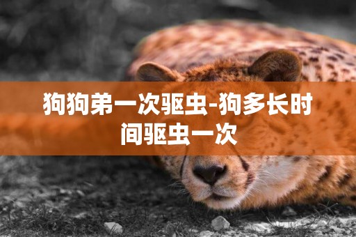 狗狗弟一次驅蟲-狗多長時間驅蟲一次