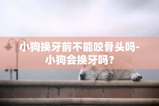 小狗換牙前不能咬骨頭嗎-小狗會換牙嗎？