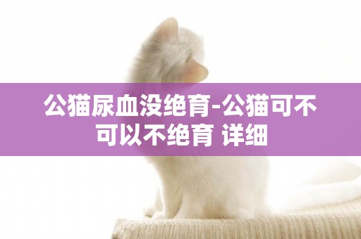 公貓尿血沒絕育-公貓可不可以不絕育 詳細