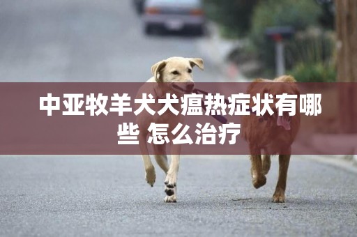 中亞牧羊犬犬瘟熱癥狀有哪些 怎么治療