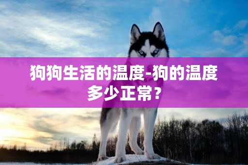 狗狗生活的溫度-狗的溫度多少正常？