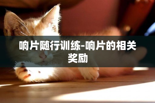 響片隨行訓練-響片的相關獎勵