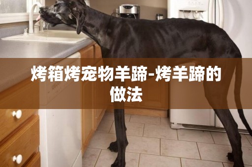 烤箱烤寵物羊蹄-烤羊蹄的做法