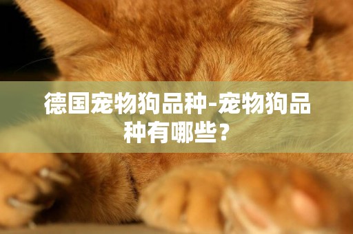 德國寵物狗品種-寵物狗品種有哪些？