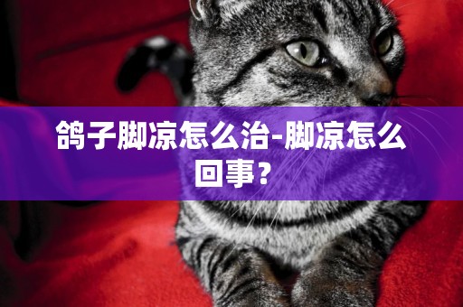 鴿子腳涼怎么治-腳涼怎么回事？