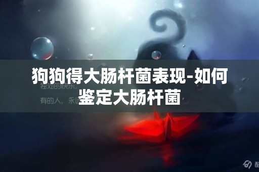 狗狗得大腸桿菌表現-如何鑒定大腸桿菌