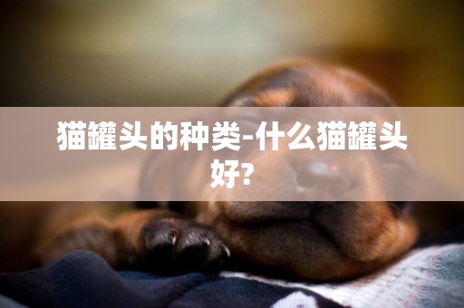 貓罐頭的種類-什么貓罐頭好?