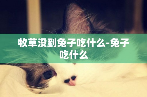 牧草沒到兔子吃什么-兔子吃什么