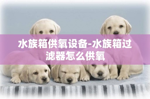 水族箱供氧設備-水族箱過濾器怎么供氧