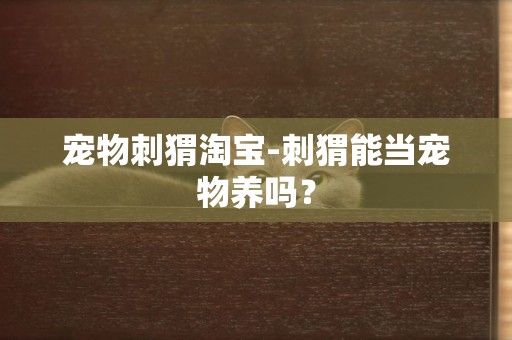 寵物刺猬淘寶-刺猬能當寵物養嗎？