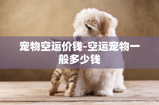 寵物空運價錢-空運寵物一般多少錢