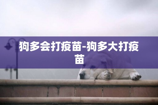 狗多會打疫苗-狗多大打疫苗