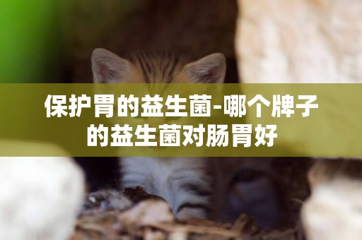 保護胃的益生菌-哪個牌子的益生菌對腸胃好