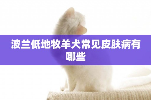波蘭低地牧羊犬常見皮膚病有哪些