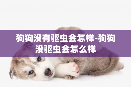 狗狗沒有驅蟲會怎樣-狗狗沒驅蟲會怎么樣