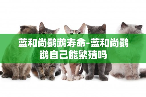 藍和尚鸚鵡壽命-藍和尚鸚鵡自己能繁殖嗎