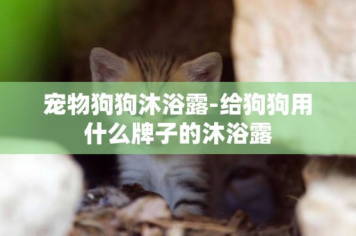 寵物狗狗沐浴露-給狗狗用什么牌子的沐浴露