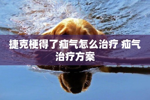 捷克梗得了疝氣怎么治療 疝氣治療方案