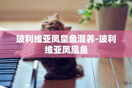 玻利維亞鳳皇魚混養-玻利維亞鳳凰魚