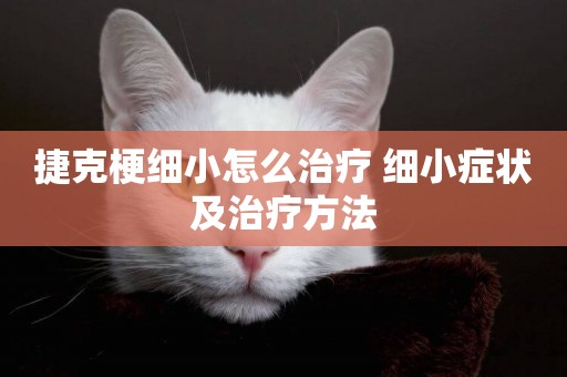 捷克梗細小怎么治療 細小癥狀及治療方法