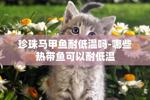 珍珠馬甲魚耐低溫嗎-哪些熱帶魚可以耐低溫