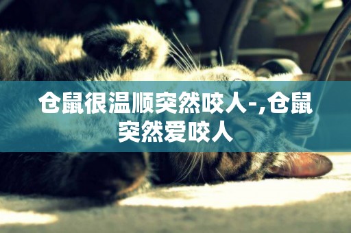 倉鼠很溫順突然咬人-,倉鼠突然愛咬人