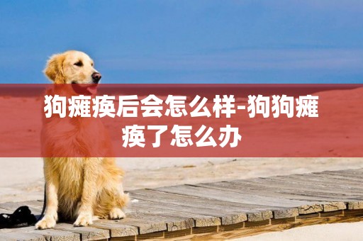 狗癱瘓后會怎么樣-狗狗癱瘓了怎么辦