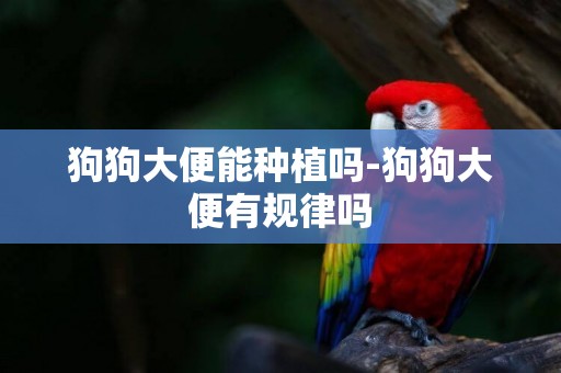 狗狗大便能種植嗎-狗狗大便有規律嗎