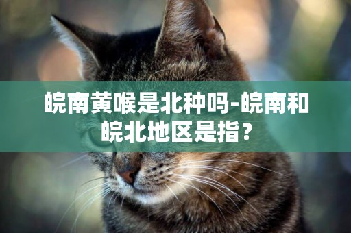 皖南黃喉是北種嗎-皖南和皖北地區是指？