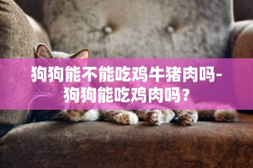 狗狗能不能吃雞牛豬肉嗎-狗狗能吃雞肉嗎？
