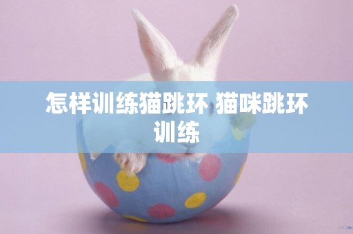 怎樣訓練貓跳環 貓咪跳環訓練