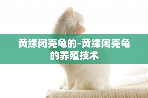 黃緣閉殼龜的-黃緣閉殼龜的養殖技術