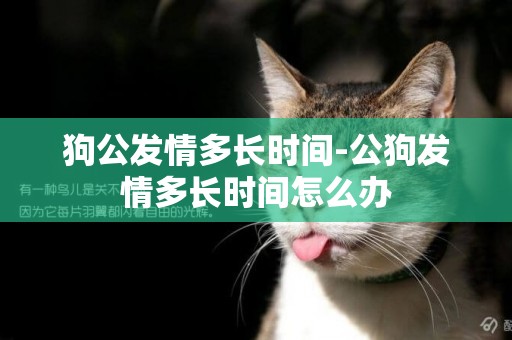 狗公發情多長時間-公狗發情多長時間怎么辦