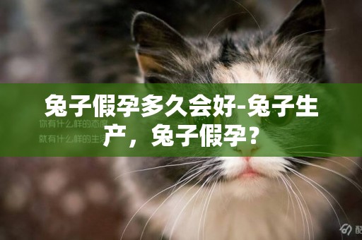 兔子假孕多久會好-兔子生產，兔子假孕？