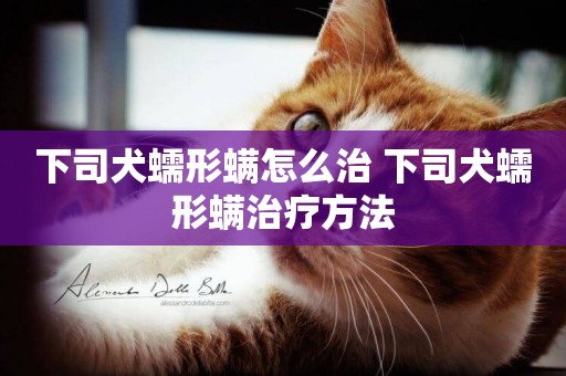 下司犬蠕形螨怎么治 下司犬蠕形螨治療方法