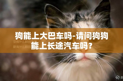 狗能上大巴車嗎-請問狗狗能上長途汽車嗎？