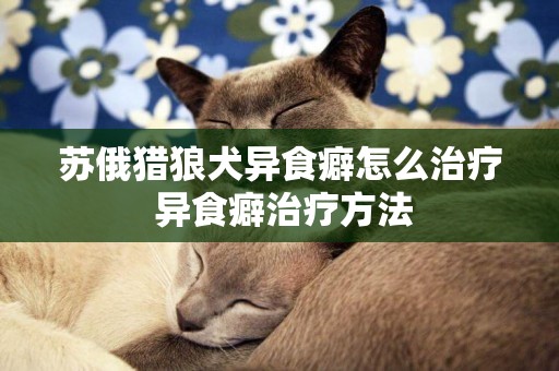 蘇俄獵狼犬異食癖怎么治療 異食癖治療方法