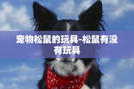 寵物松鼠的玩具-松鼠有沒有玩具